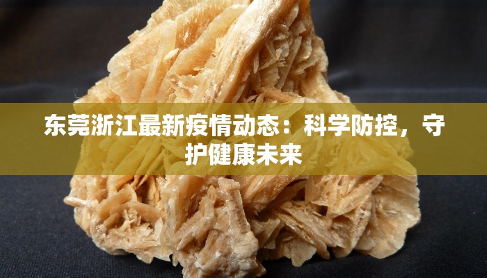 东莞浙江最新疫情动态:科学防控,守护健康未来 东莞浙江最新疫情动态:科学防控,守护健康未来
