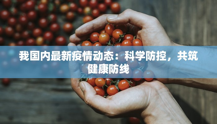 我国内最新疫情动态：科学防控，共筑健康防线