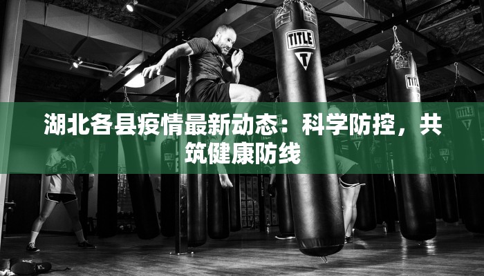 湖北各县疫情最新动态：科学防控，共筑健康防线