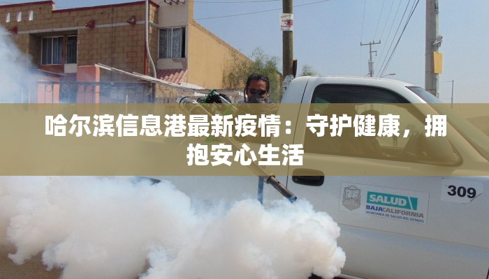 哈尔滨信息港最新疫情：守护健康，拥抱安心生活