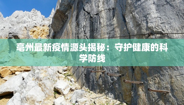 亳州最新疫情源头揭秘：守护健康的科学防线