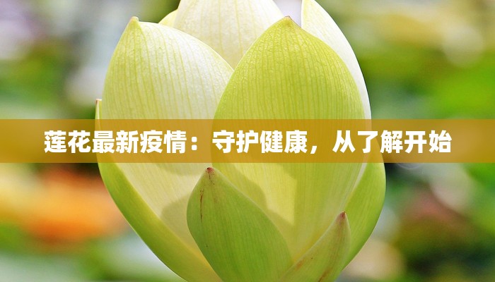 韩式日料郑州团购店：韩日风味的完美融合，团购惊喜等你来