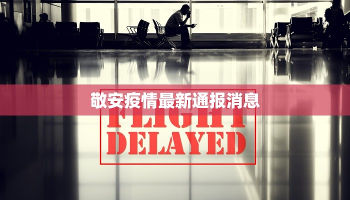 敬安疫情最新通报消息