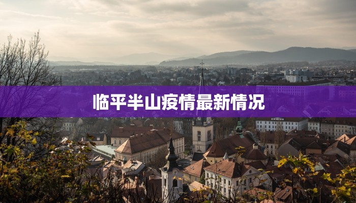 临平半山疫情最新情况