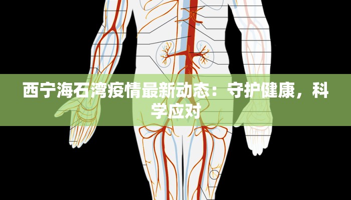 西宁海石湾疫情最新动态：守护健康，科学应对