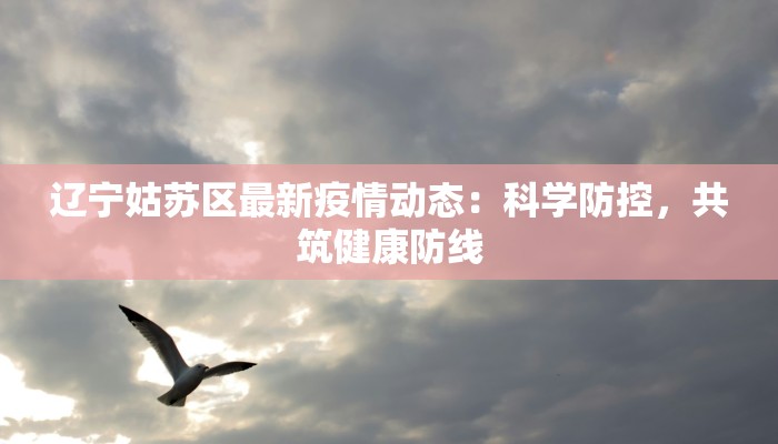 辽宁姑苏区最新疫情动态：科学防控，共筑健康防线