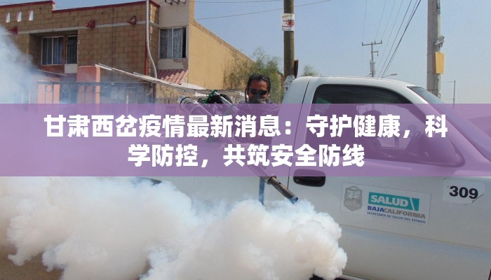 甘肃西岔疫情最新消息：守护健康，科学防控，共筑安全防线