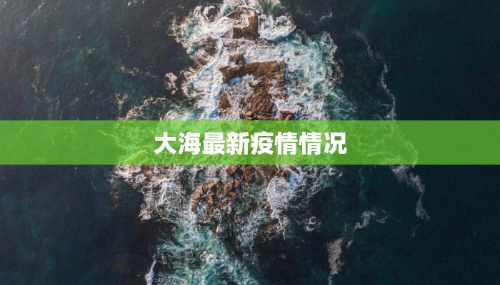 大海最新疫情情况