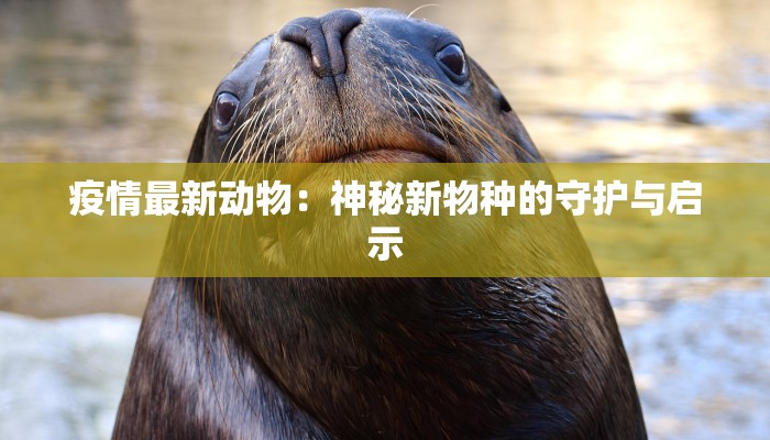 疫情最新动物：神秘新物种的守护与启示