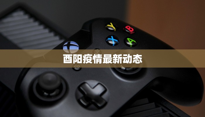 酉阳疫情最新动态