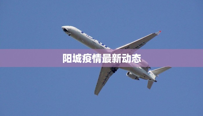 阳城疫情最新动态