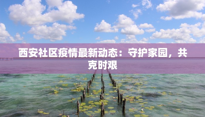 西安社区疫情最新动态：守护家园，共克时艰