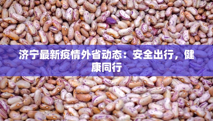 济宁最新疫情外省动态：安全出行，健康同行