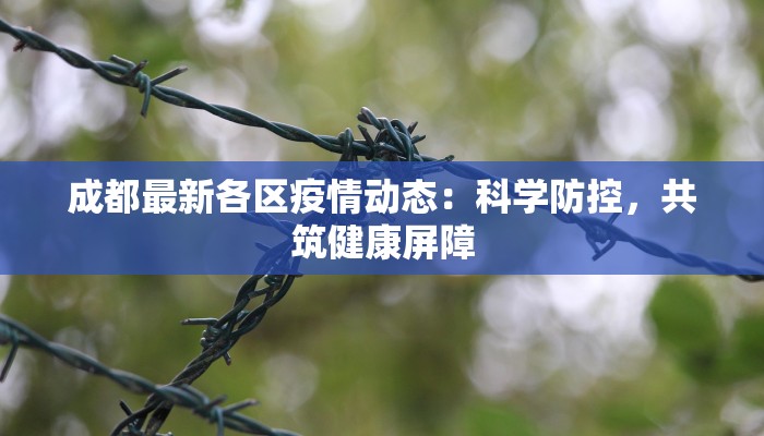 苗族舞蹈服装银铃苗花：铃声摇曳，花香醉人