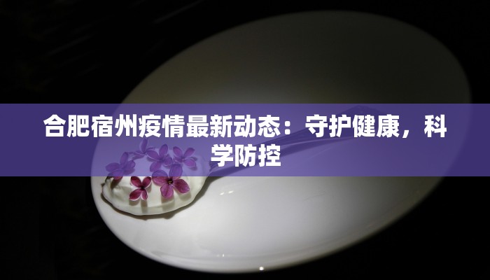 合肥宿州疫情最新动态:守护健康,科学防控 合肥宿州疫情最新动态:守护健康,科学防控