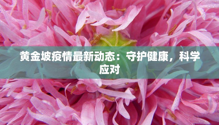 黄金坡疫情最新动态:守护健康,科学应对 黄金坡疫情最新动态:守护健康,科学应对