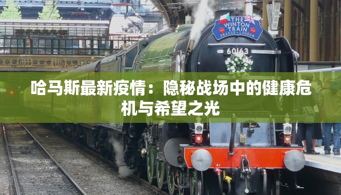 哈马斯最新疫情：隐秘战场中的健康危机与希望之光