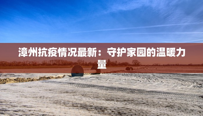 漳州抗疫情况最新：守护家园的温暖力量