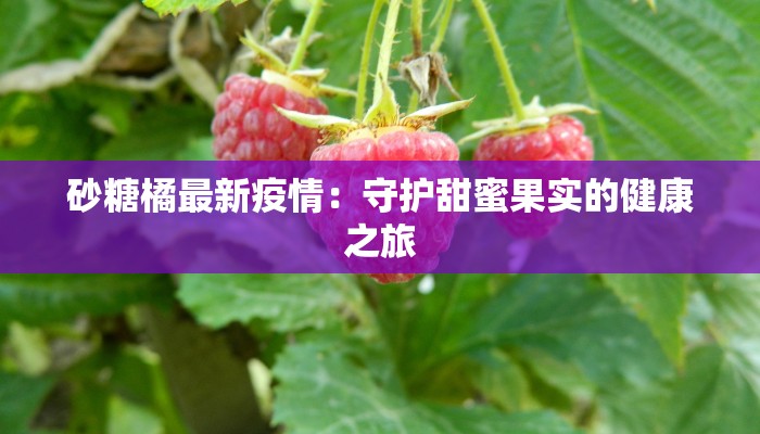 砂糖橘最新疫情：守护甜蜜果实的健康之旅