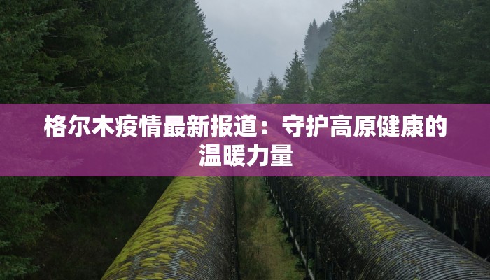 格尔木疫情最新报道：守护高原健康的温暖力量