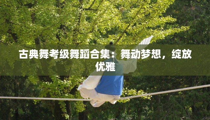 古典舞考级舞蹈合集：舞动梦想，绽放优雅