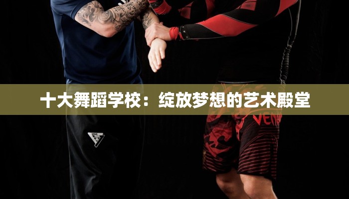 十大舞蹈学校：绽放梦想的艺术殿堂