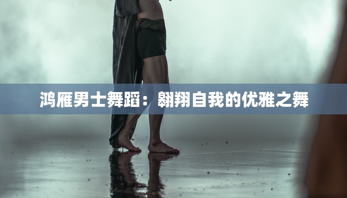 鸿雁男士舞蹈：翱翔自我的优雅之舞