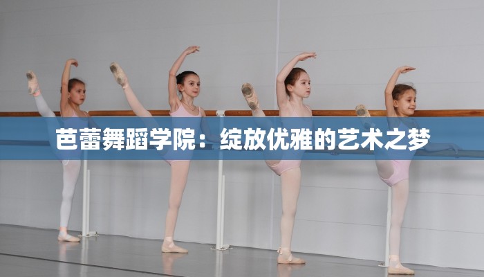 芭蕾舞蹈学院：绽放优雅的艺术之梦