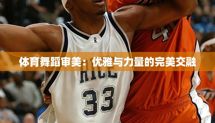 体育舞蹈审美：优雅与力量的完美交融