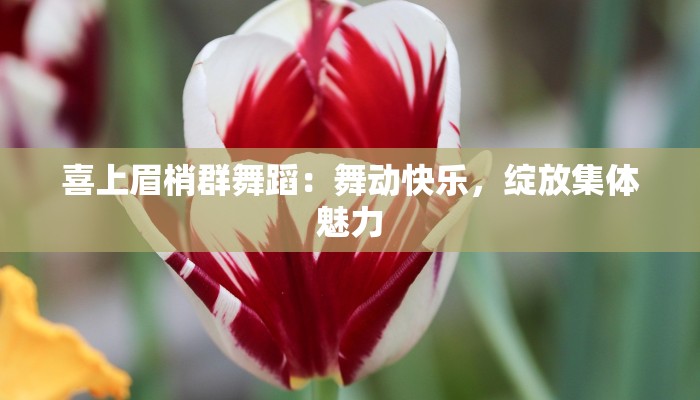 喜上眉梢群舞蹈：舞动快乐，绽放集体魅力
