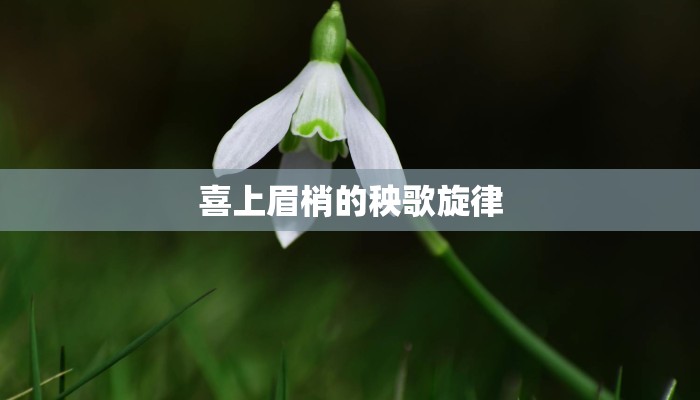 喜上眉梢的秧歌旋律