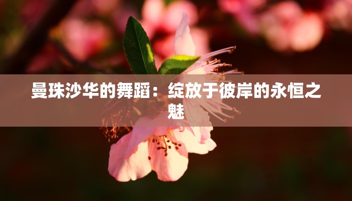 曼珠沙华的舞蹈：绽放于彼岸的永恒之魅