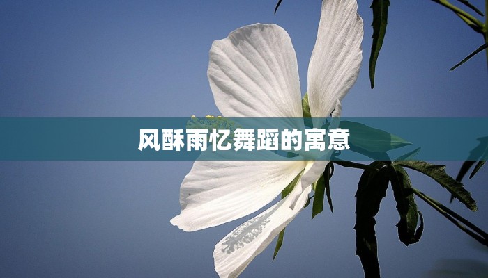 风酥雨忆舞蹈的寓意