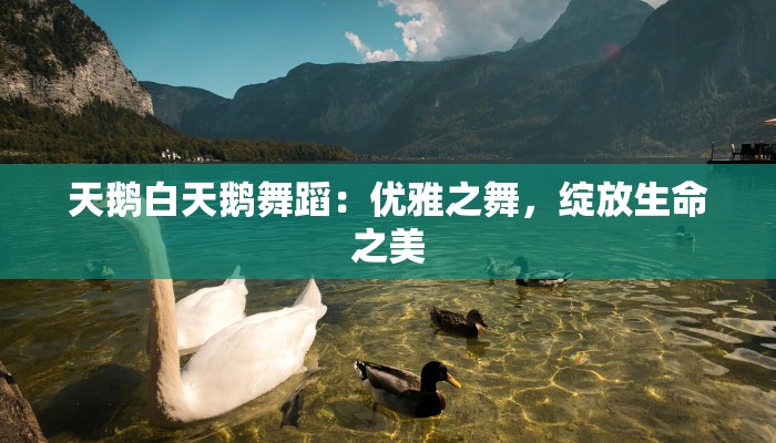 天鹅白天鹅舞蹈：优雅之舞，绽放生命之美