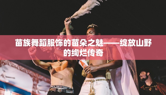 苗族舞蹈服饰的苗朵之魅——绽放山野的绚烂传奇