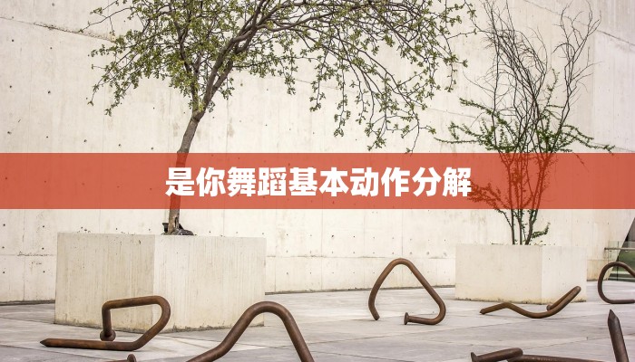 是你舞蹈基本动作分解
