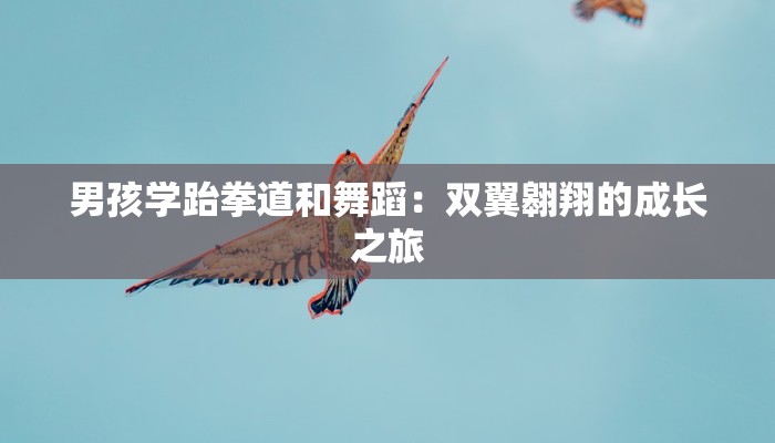 男孩学跆拳道和舞蹈：双翼翱翔的成长之旅