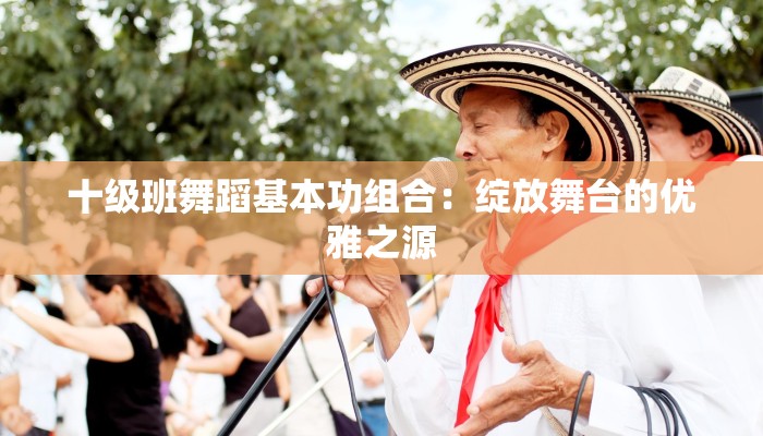 十级班舞蹈基本功组合：绽放舞台的优雅之源