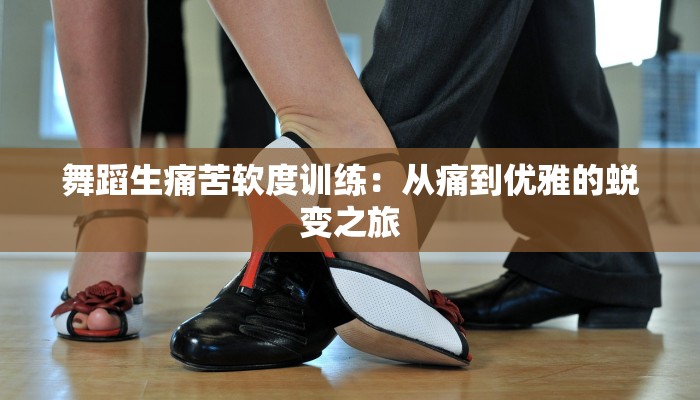 舞蹈生痛苦软度训练：从痛到优雅的蜕变之旅