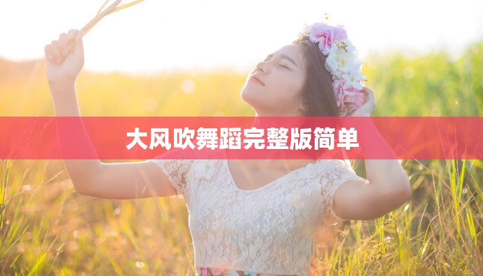 大风吹舞蹈完整版简单