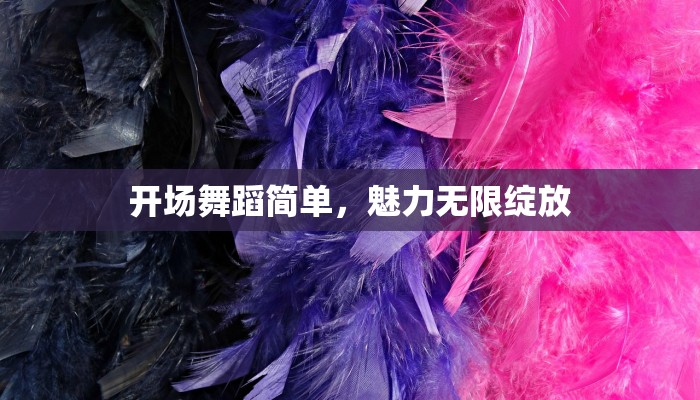 开场舞蹈简单，魅力无限绽放