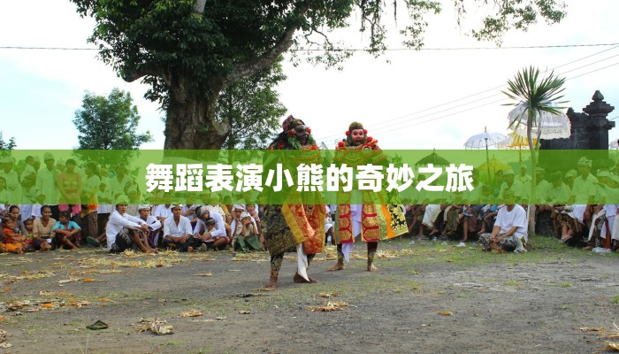 舞蹈表演小熊的奇妙之旅