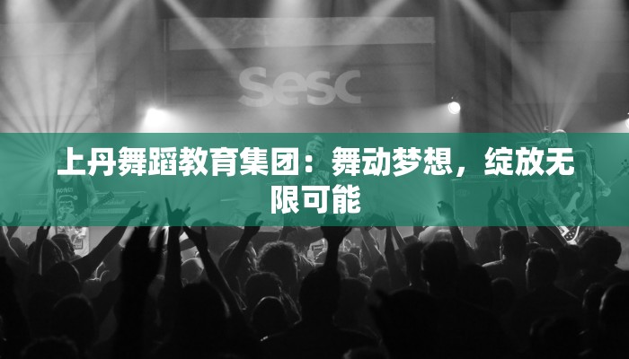 上丹舞蹈教育集团：舞动梦想，绽放无限可能