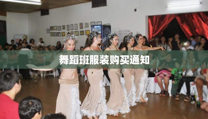舞蹈班服装购买通知