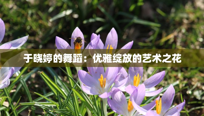 于晓婷的舞蹈：优雅绽放的艺术之花