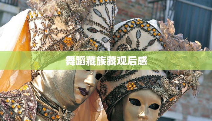 舞蹈藏族藏观后感