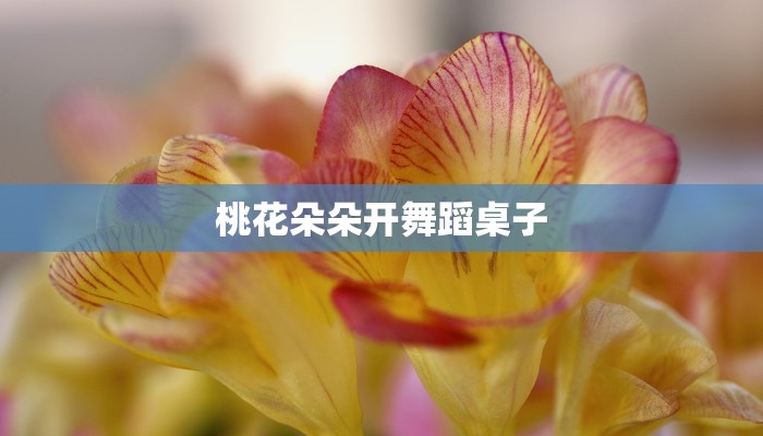 桃花朵朵开舞蹈桌子