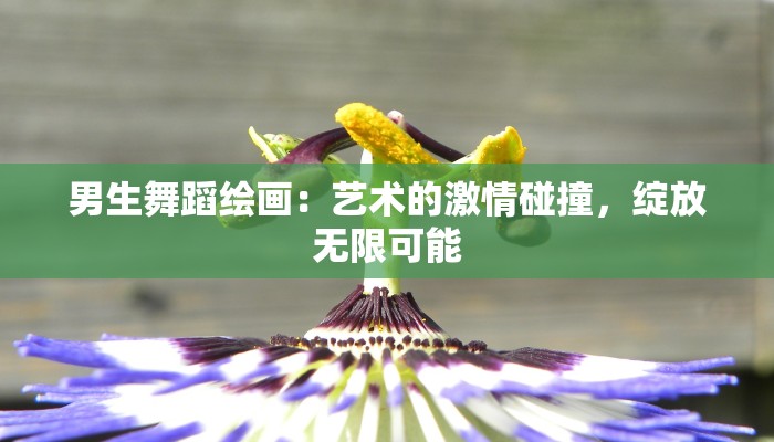 男生舞蹈绘画：艺术的激情碰撞，绽放无限可能