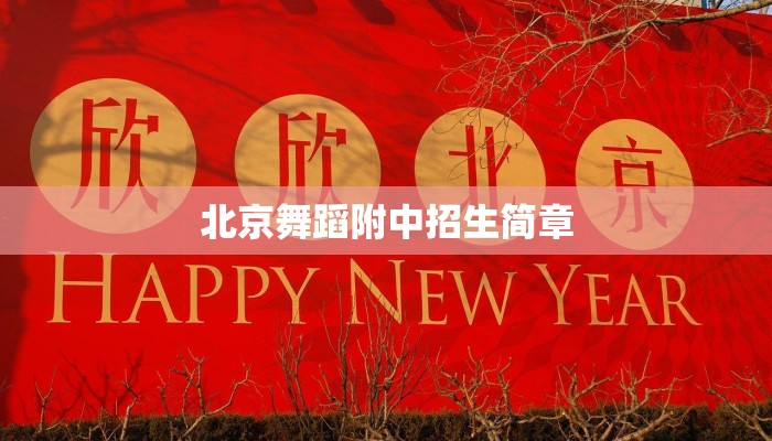北京舞蹈附中招生简章 北京舞蹈附中招生简章