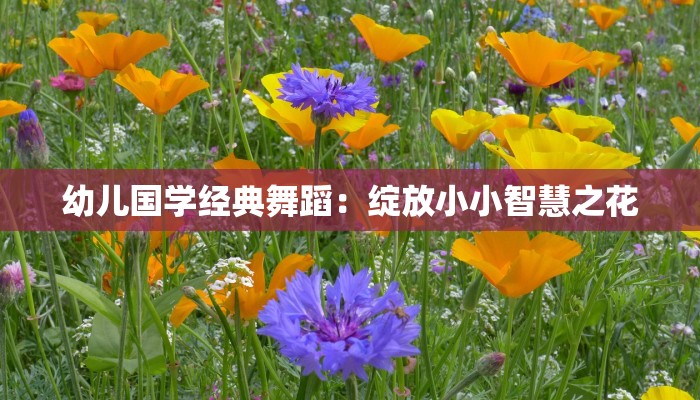 幼儿国学经典舞蹈：绽放小小智慧之花